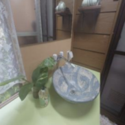 洗面(内装)