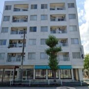 富山県富山市 賃貸29の26 土地510.28平米 1K×27戸 店舗×2戸 満室時利回り12.41％
