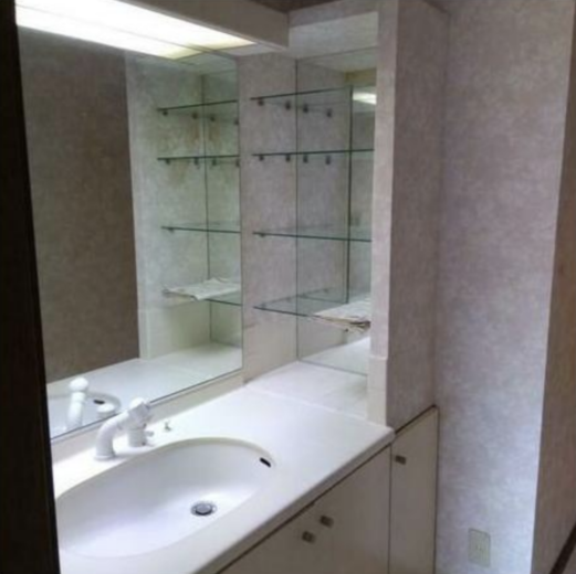 戸建 洗面(内装)