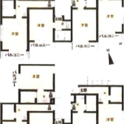 (間取)